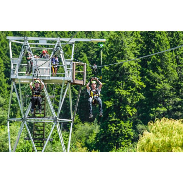 Flying Fox